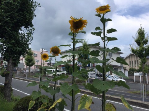 0022a534-87bc-4432-942d-8d1c16e54997.jpeg
