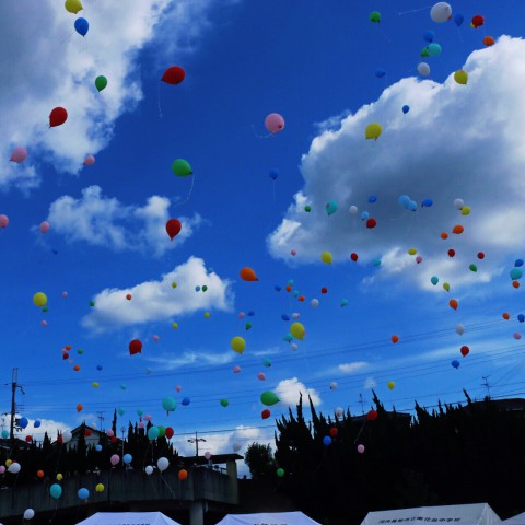 20150919_141850.jpg