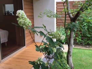 2017.7.18 リハティスプラス
