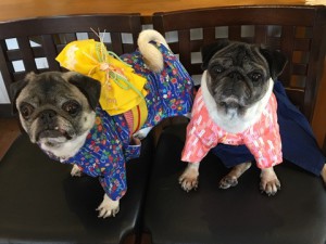 2018.1.7 パンプキン