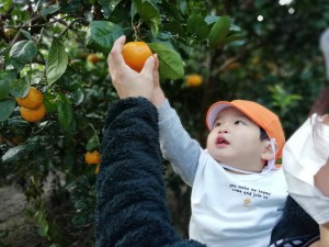 2020.11.10 おしお幼稚園