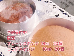 2020.12.8 パウダーハウス