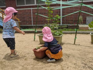 2020.6.23 おしお幼稚園