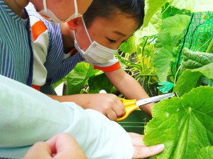 2020.6.30 おしお幼稚園