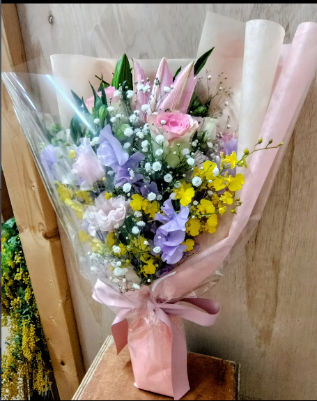 2026-03-03_11h22_55 - コピー