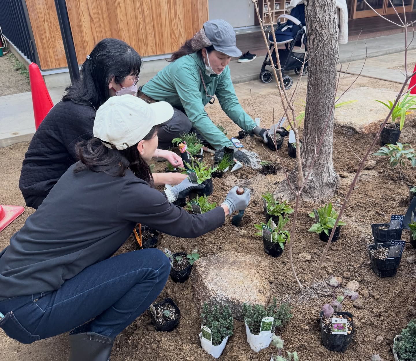 642480070_18307161220285988_9062725421568091537_n