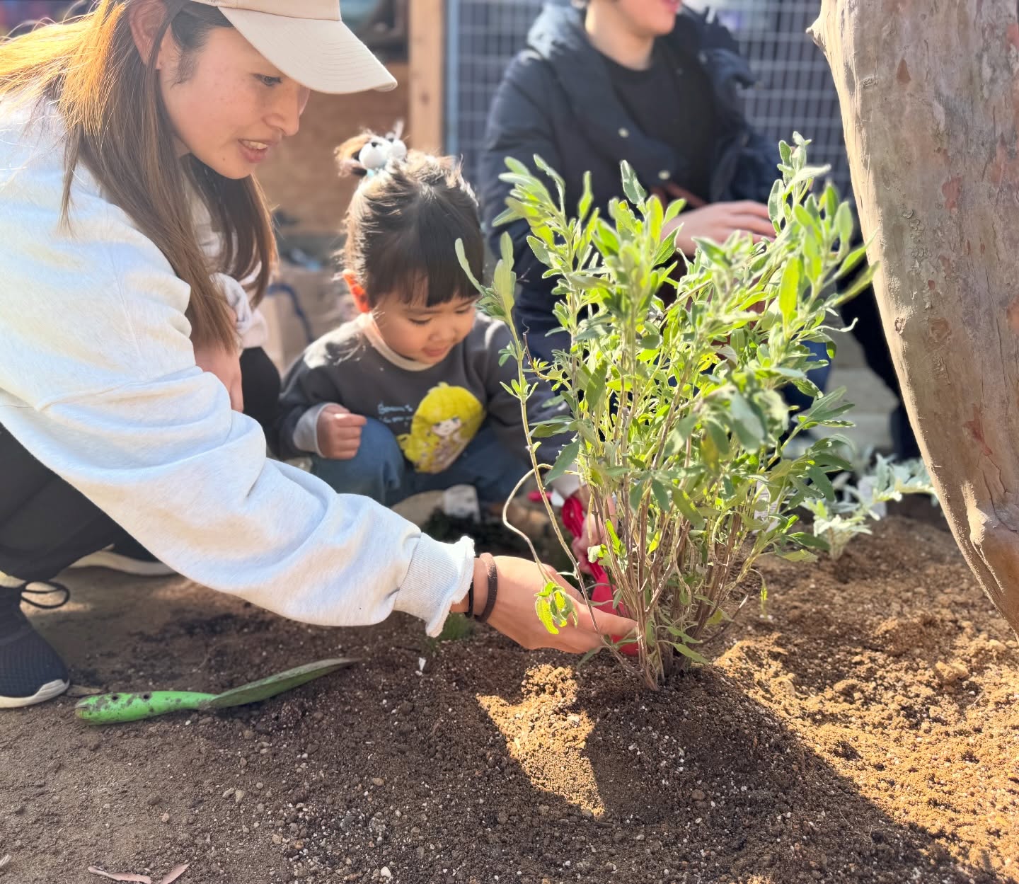 642527261_18307161163285988_1784029446123498477_n