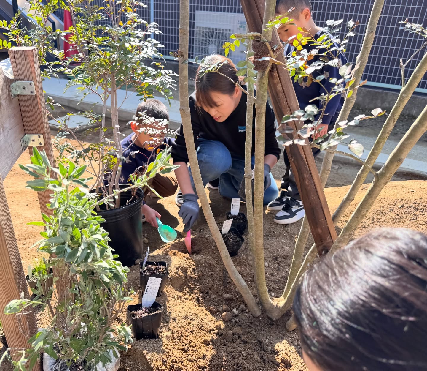 643536703_18307161202285988_8504956684750334792_n