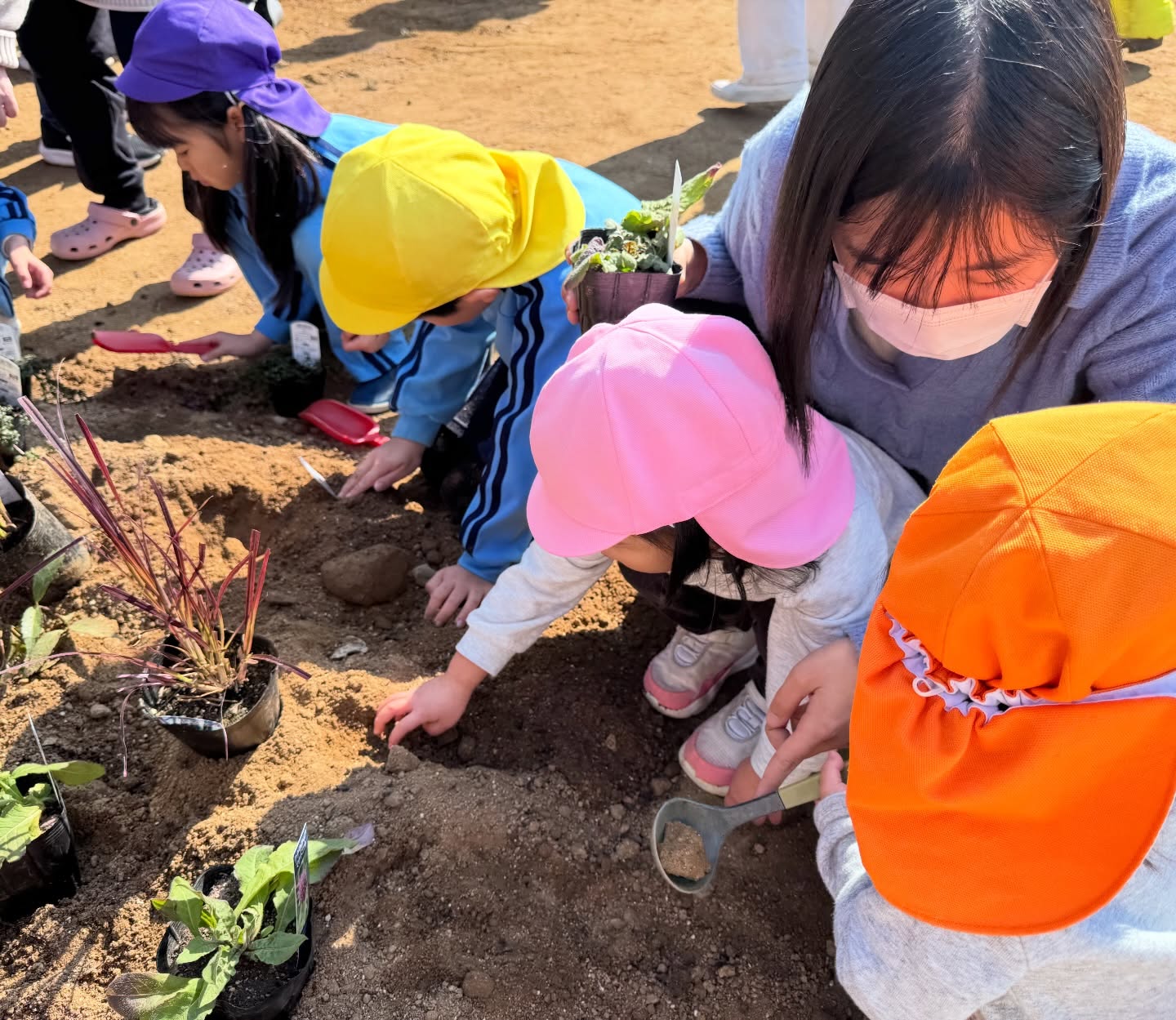 643587268_18307161193285988_3780173640651173528_n