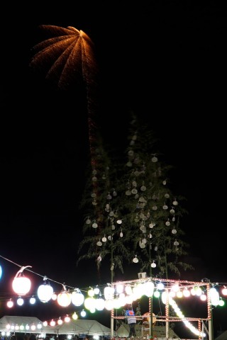 DSC00955_1