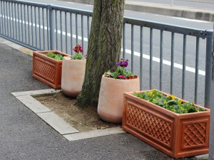 IMG_0793