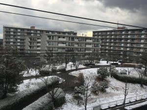 IMG_1171