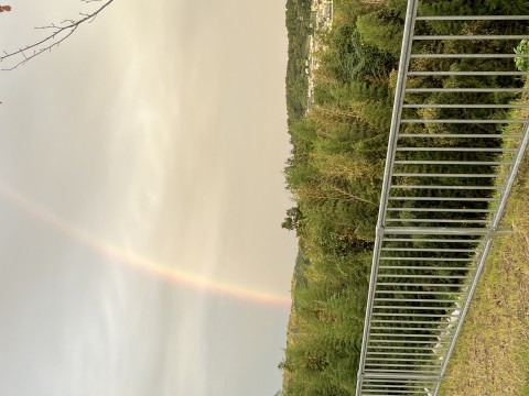 img_7459.jpeg