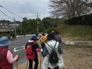 ノルディック巡り (4)